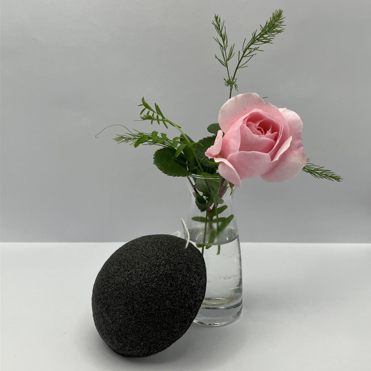 EPONGE KONJAC